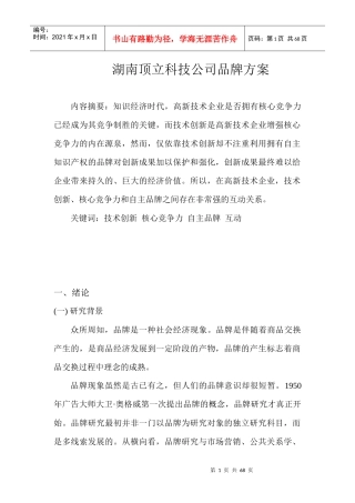 湖南顶立公司品牌方案