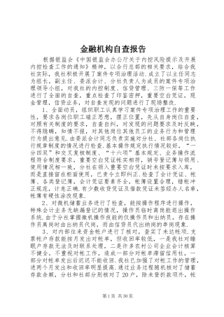 金融机构自查报告