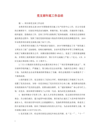 党支部年底工作总结 