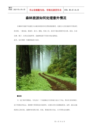森林旅游如何处理意外情况