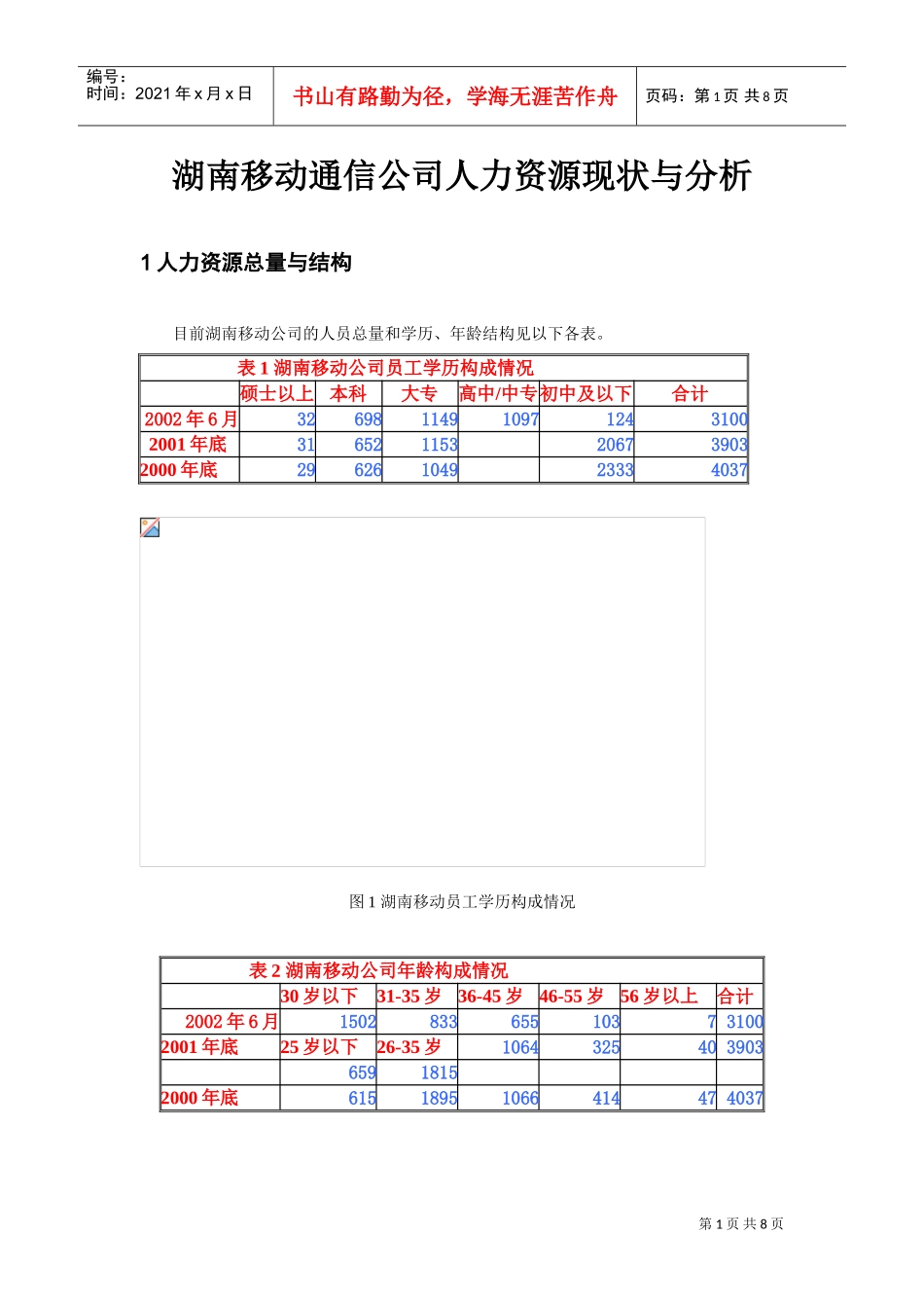 湖南移动通信公司人力资源现状与分析_第1页