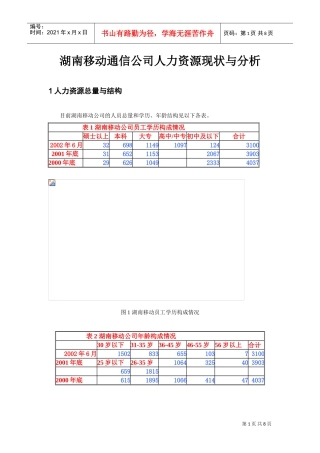 湖南移动通信公司人力资源现状与分析