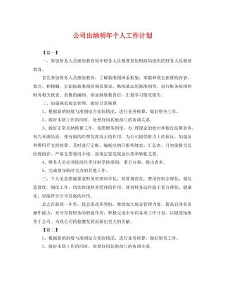 公司出纳明年个人工作计划 