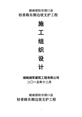 某路东侧边坡支护工程施工组织设计方案