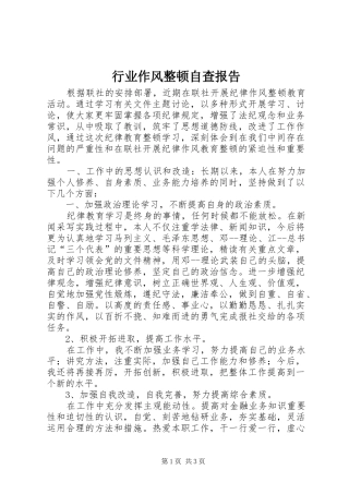 行业作风整顿自查报告