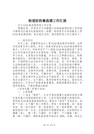 街道防控禽流感工作汇报
