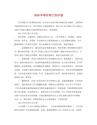 2020年审计师工作计划 