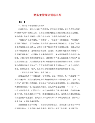 财务主管周计划怎么写 
