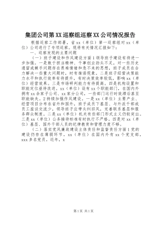 集团公司第XX巡察组巡察XX公司情况报告