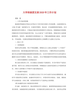 大学班级团支部年工作计划 