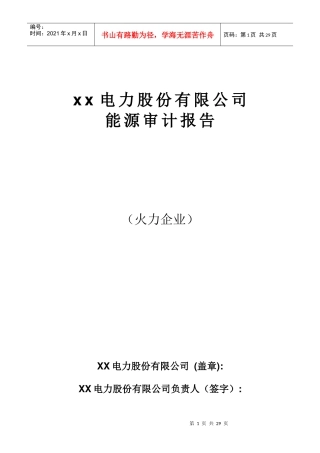 某电力公司能源审计报告