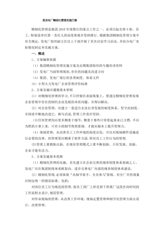 某发电厂精细化管理实施方案