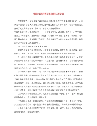 党政办公室年终工作总结和工作计划 