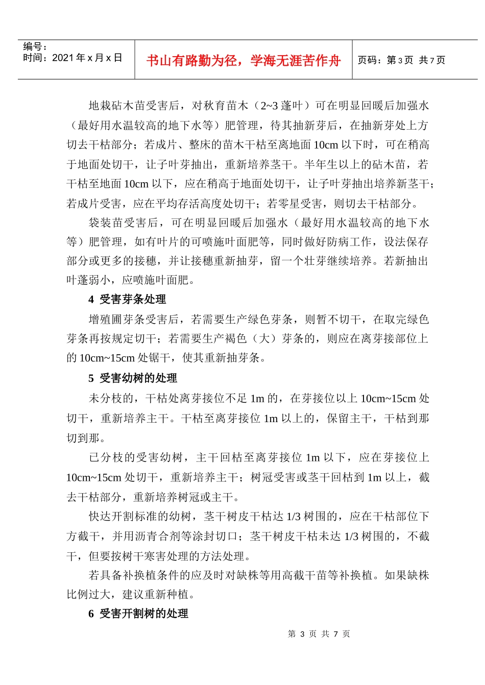 橡胶树寒害后恢复生产的技术措施_第3页