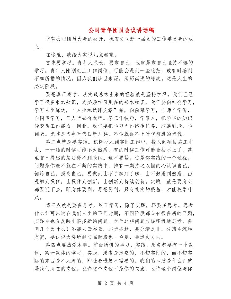 公司青年团员会议讲话稿_第2页