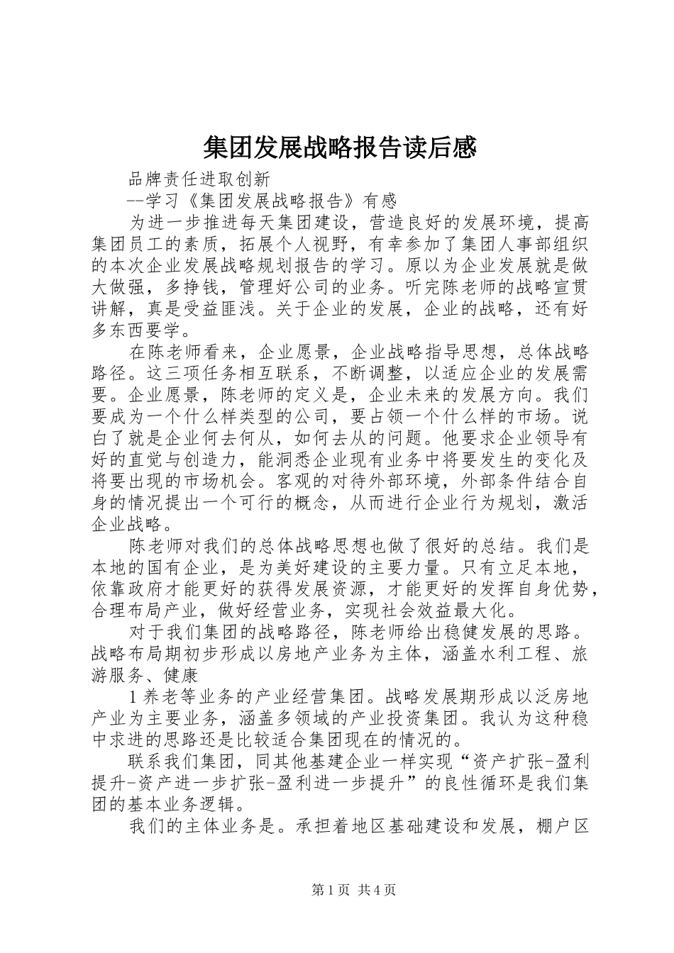 集团发展战略报告读后感_第1页