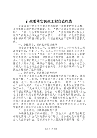 计生委落实民生工程自查报告