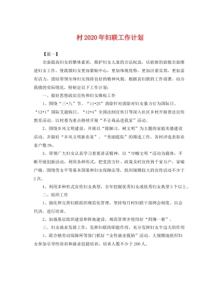 村年妇联工作计划 