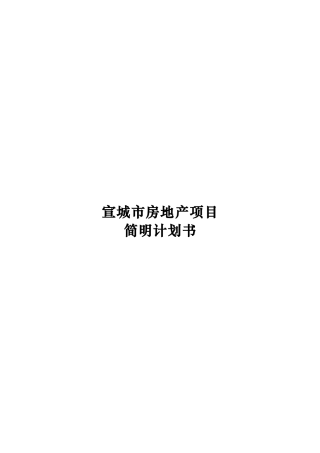 某城市房地产项目简明计划书