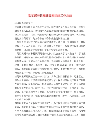 党支部书记推进民族团结工作总结 