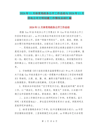 2024年11月体育局政务公开工作总结与2024年11月供电公司文明创建工作情况总结汇编
