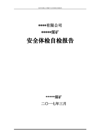 煤矿安全体检自检报告