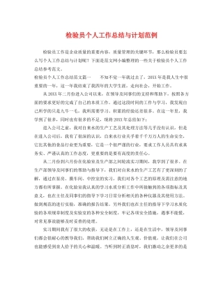 检验员个人工作总结与计划范例 