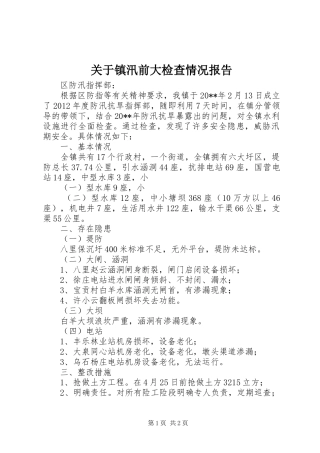 关于镇汛前大检查情况报告