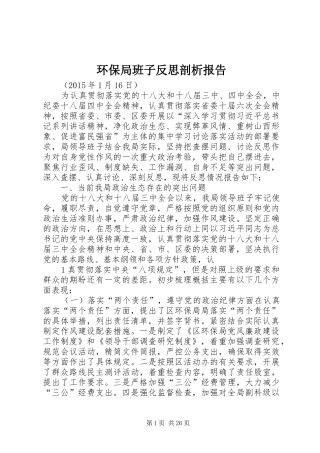 环保局班子反思剖析报告
