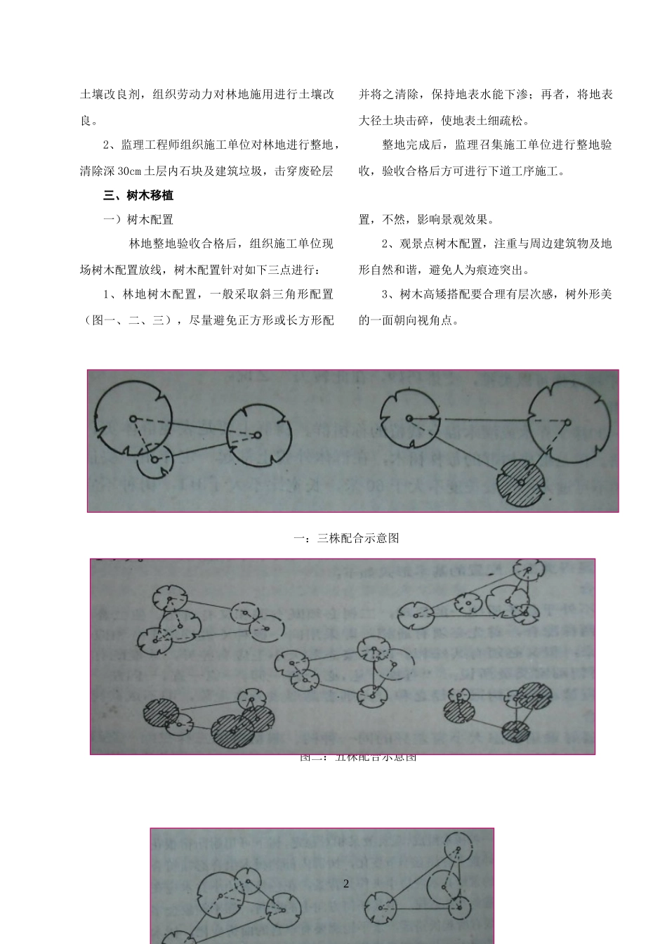 浅谈怎样进行园林绿化施工监理_第2页