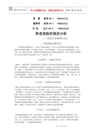 民营企业与国有企业养老保险