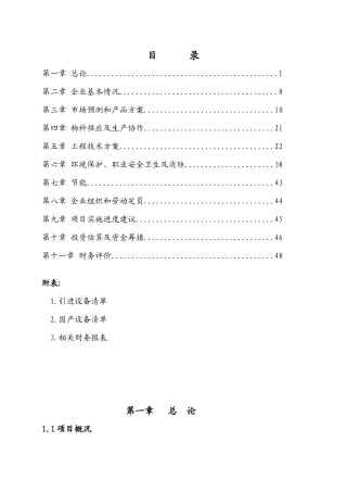 正邦模具项目可行性研究报告1