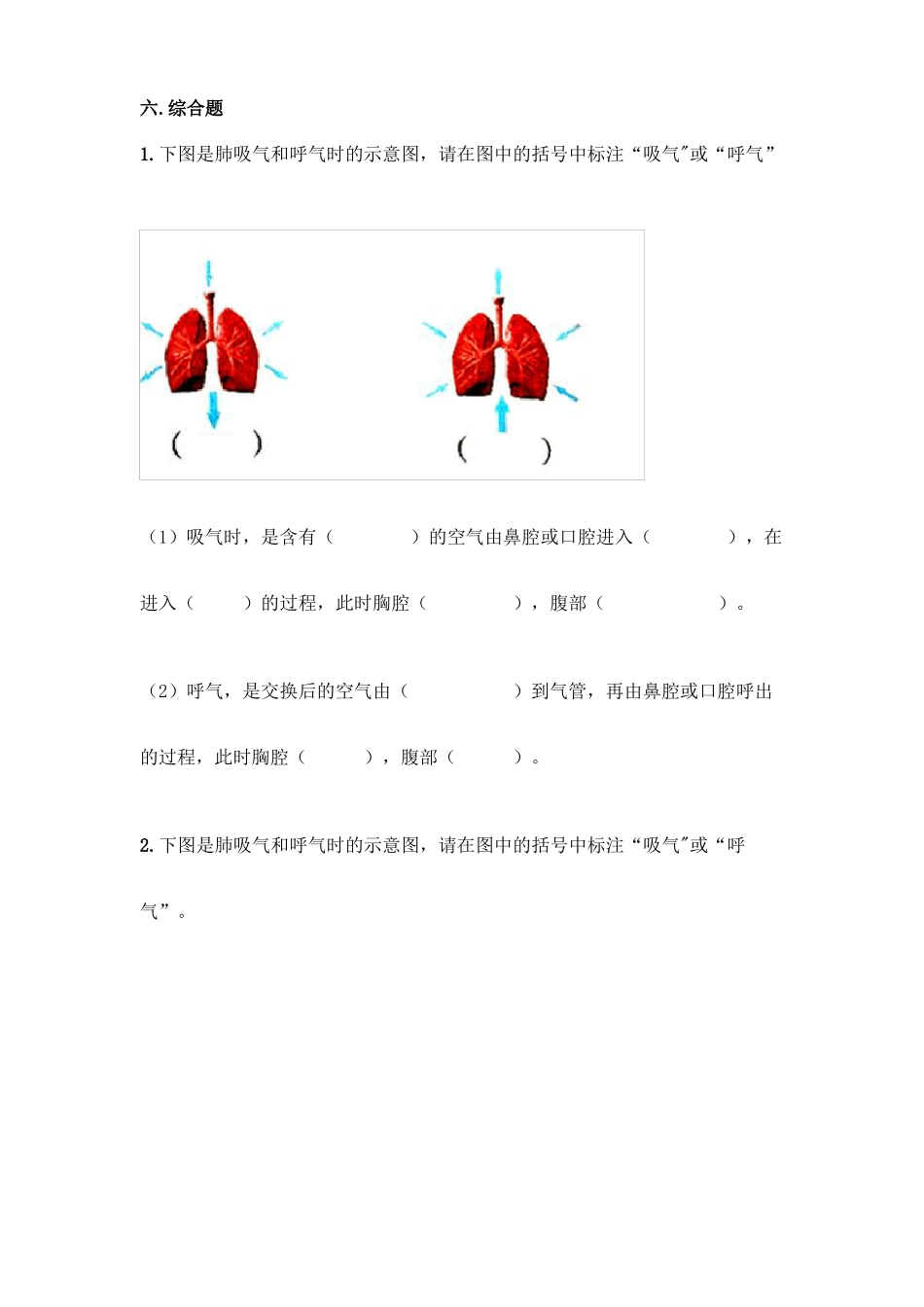 教科版科学四年级上册呼吸和消化单元测试_第3页