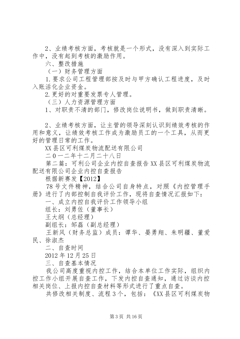 可利公司企业内控自查报告_第3页