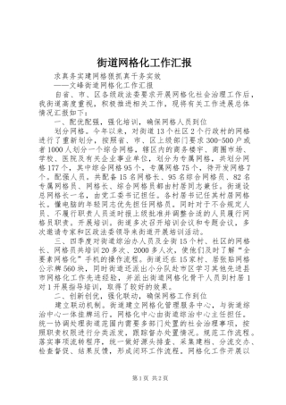 街道网格化工作汇报