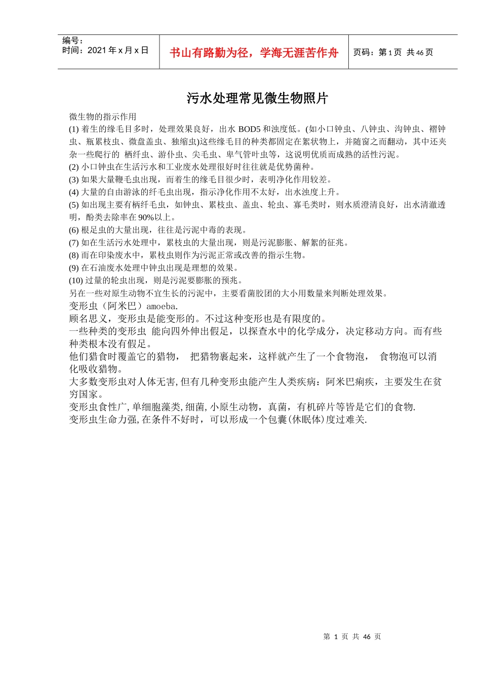 污水处理常见微生物照片_第1页