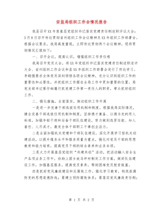 安监局组织工作会情况报告