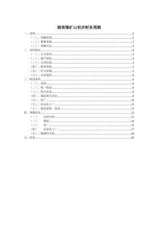 湖南锡矿山初步财务预测 及方案