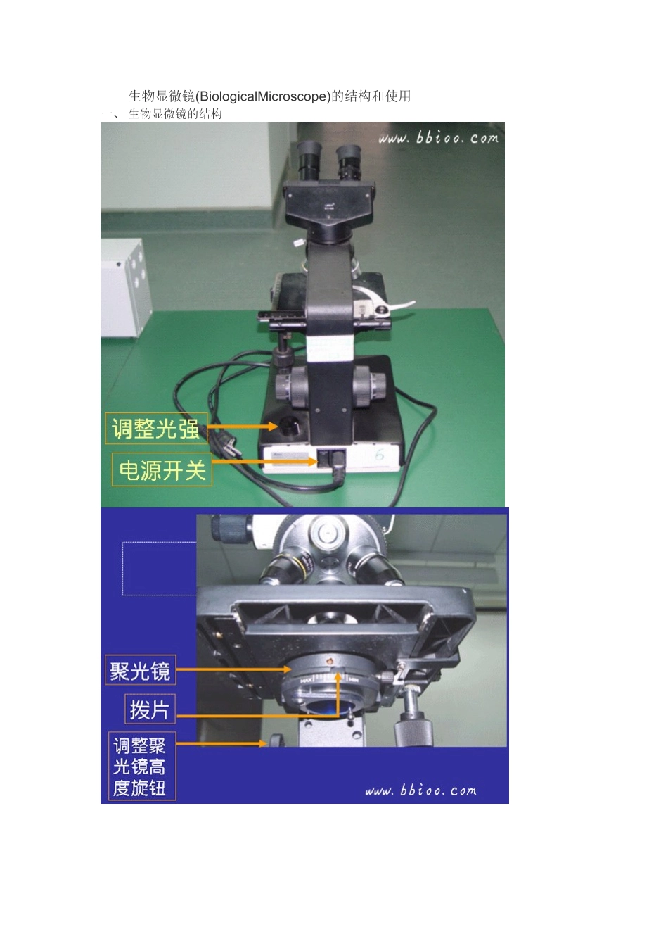 一1生物显微镜(BiologicalMicroscope)的结构和使用12_第1页