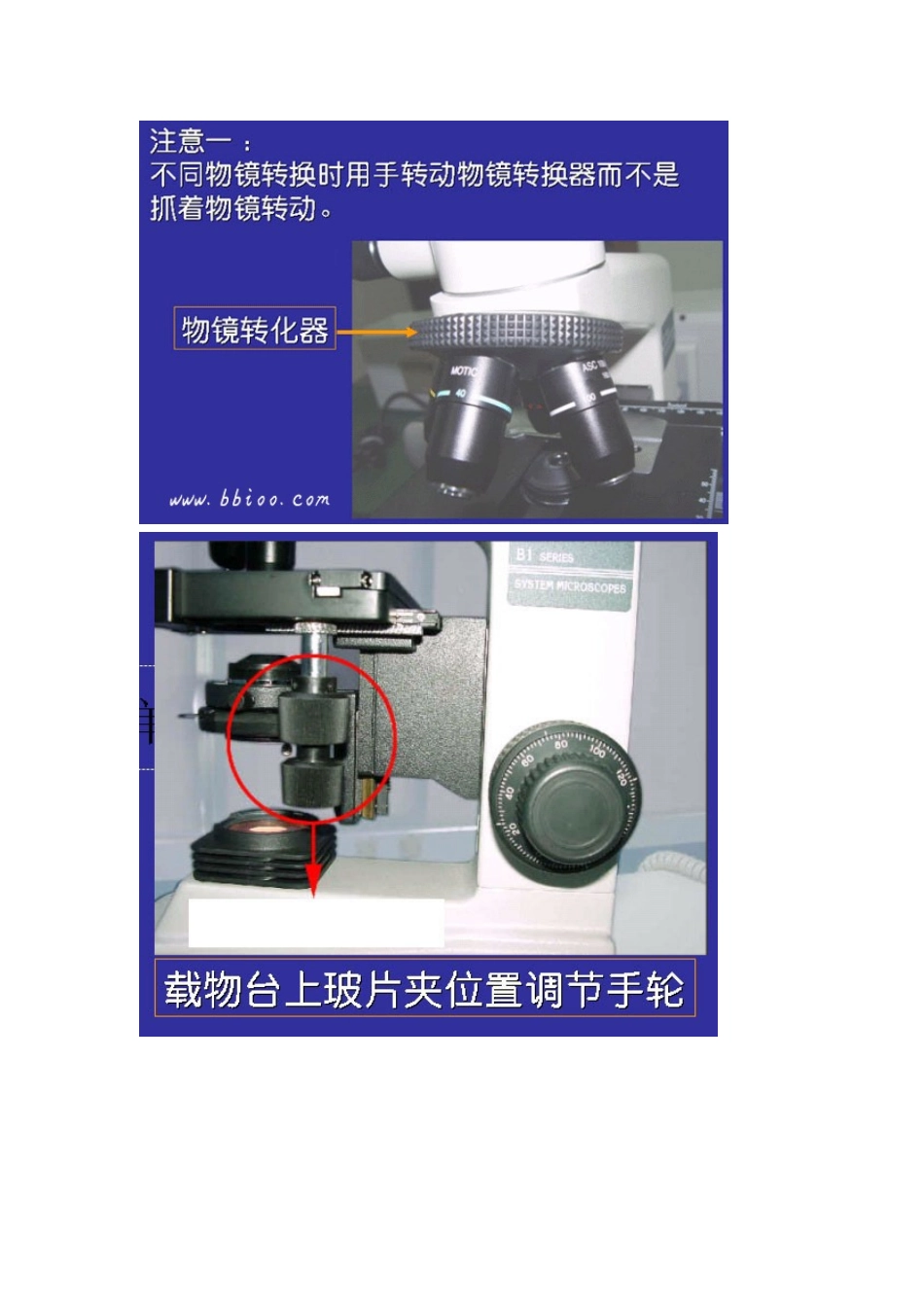 一1生物显微镜(BiologicalMicroscope)的结构和使用12_第2页