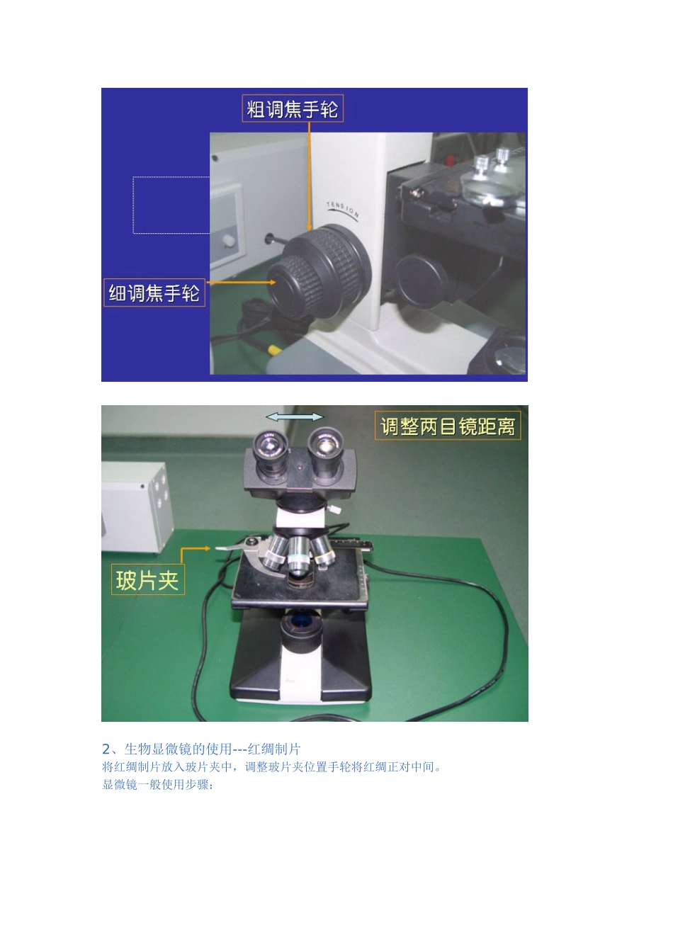 一1生物显微镜(BiologicalMicroscope)的结构和使用12_第3页