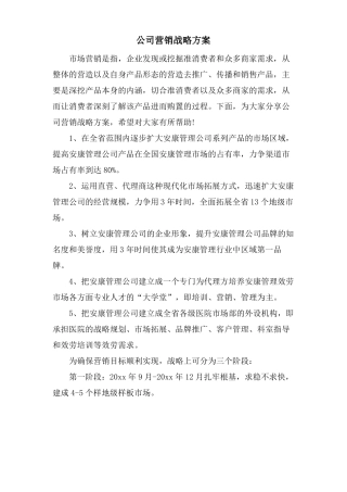 公司营销战略方案