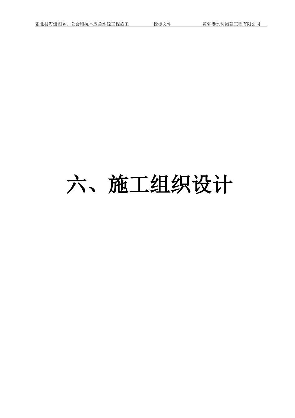 某镇抗旱应急水源工程施工施工组织设计_第1页
