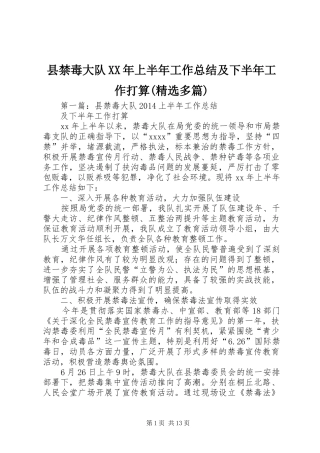县禁毒大队XX年上半年工作总结及下半年工作打算(精选多篇)