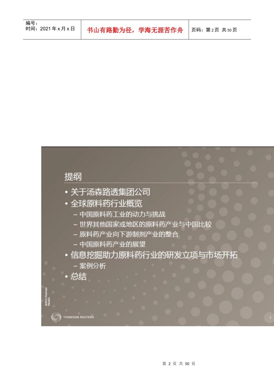 概览-仿制药原料药项目筛选和潜在客户开发_第2页