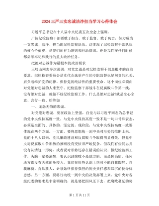 2024三严三实忠诚干净担当学习心得体会