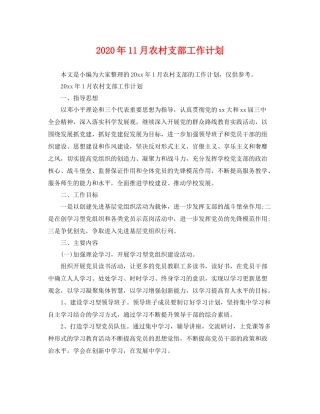 2020年11月农村支部工作计划 