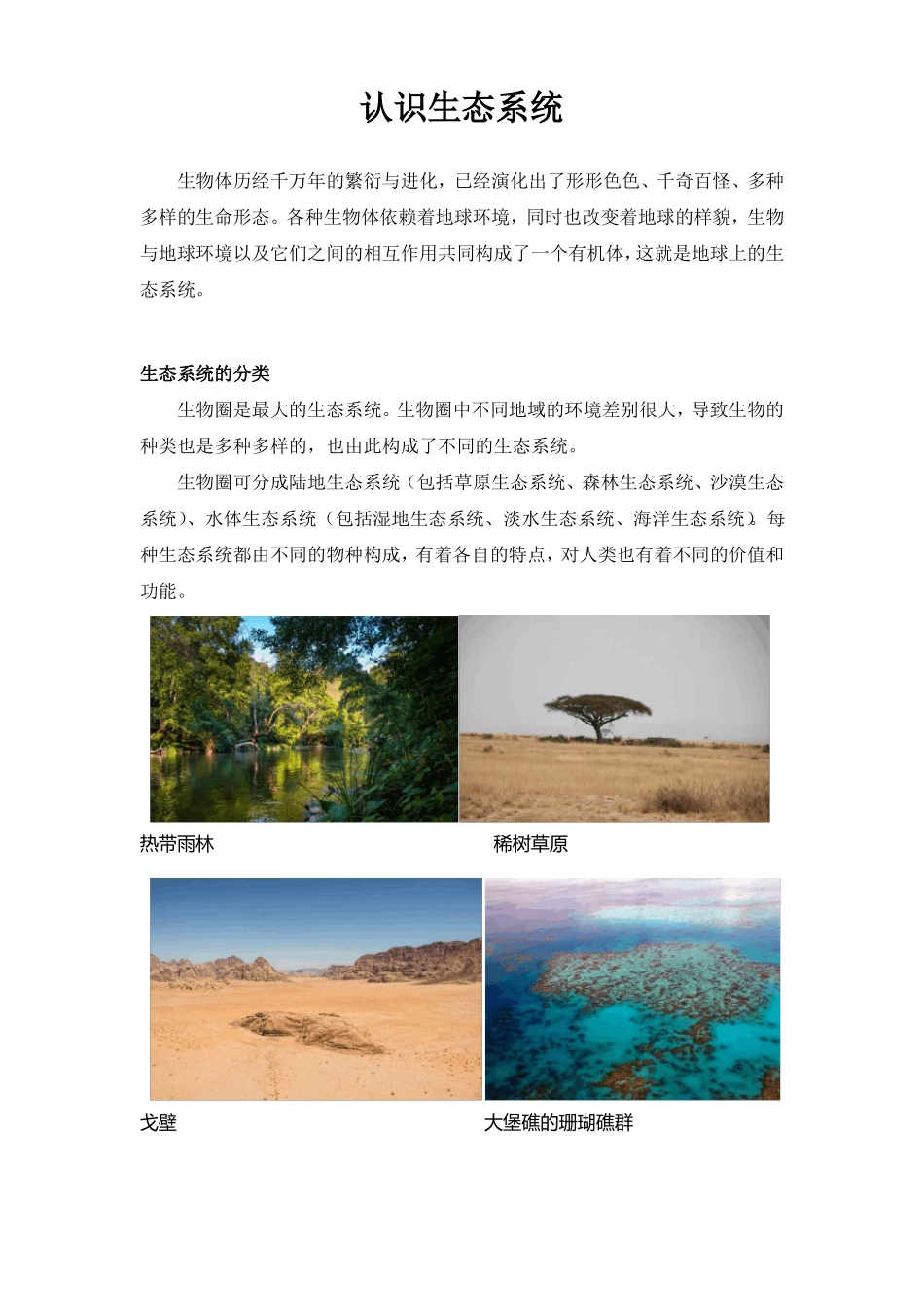 认识生态系统_第1页