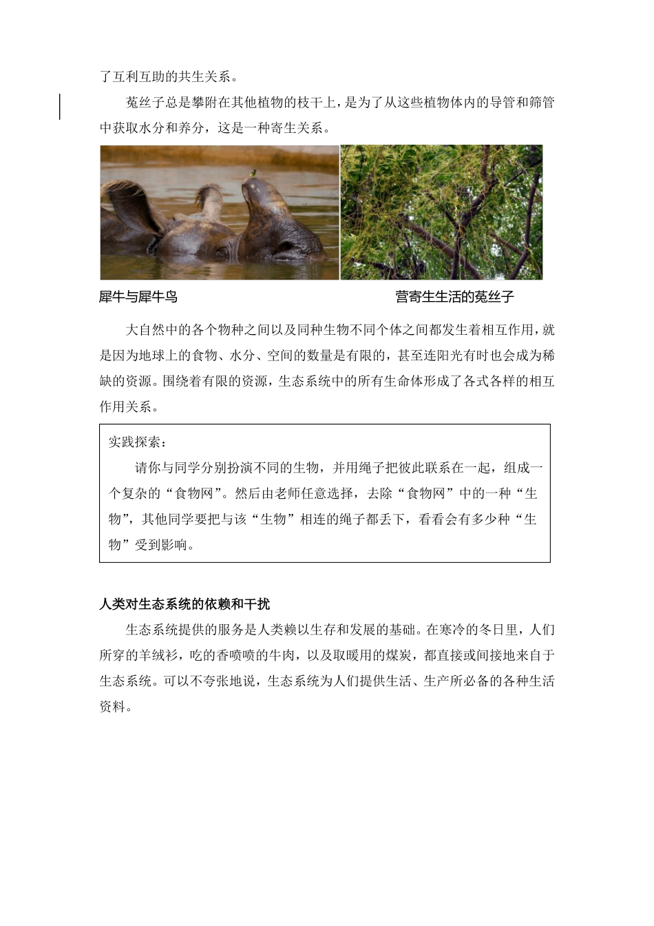 认识生态系统_第3页