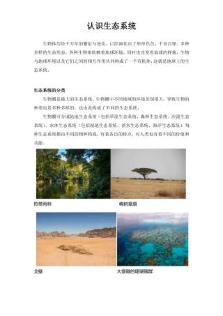 认识生态系统
